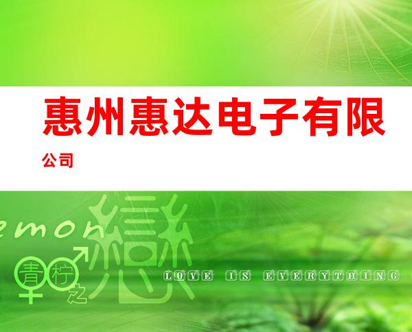 惠州惠达电子有限公司